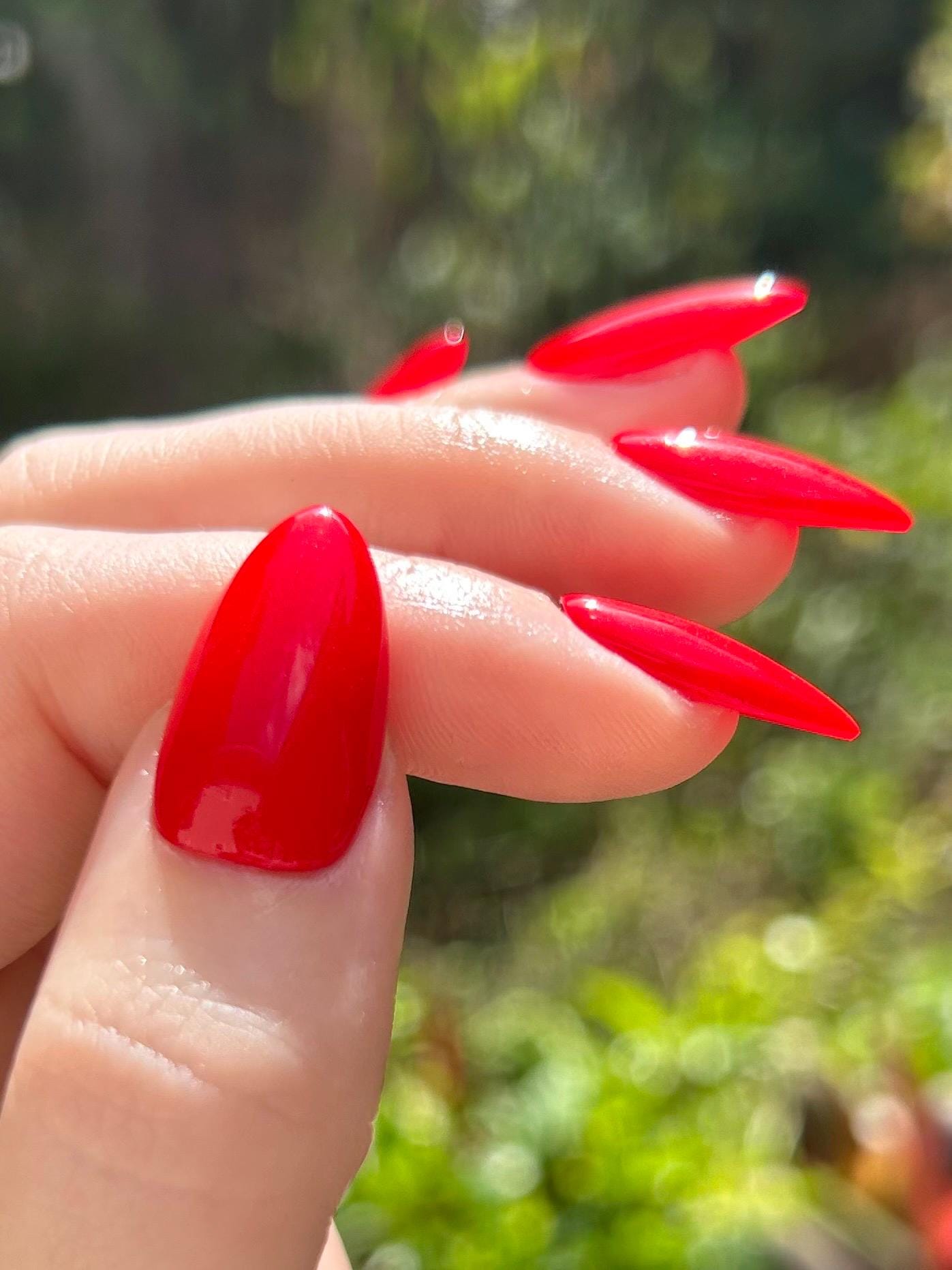 Lucky Red