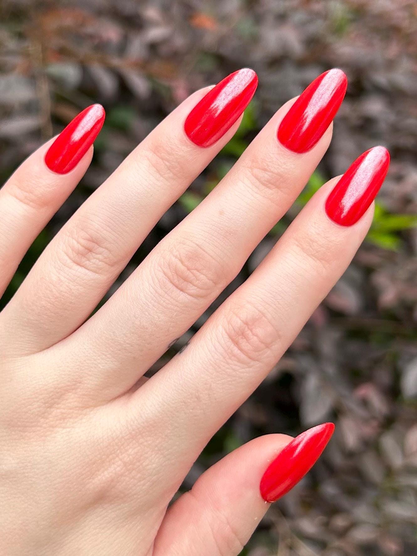 Glazed Cherry