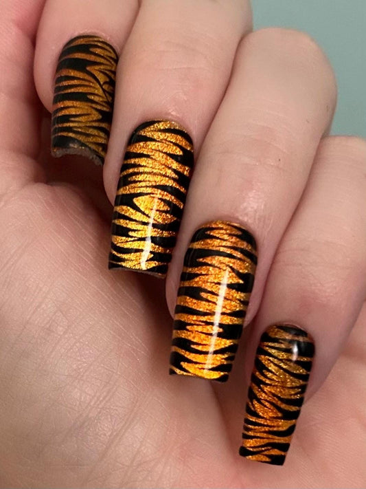 rawr XD