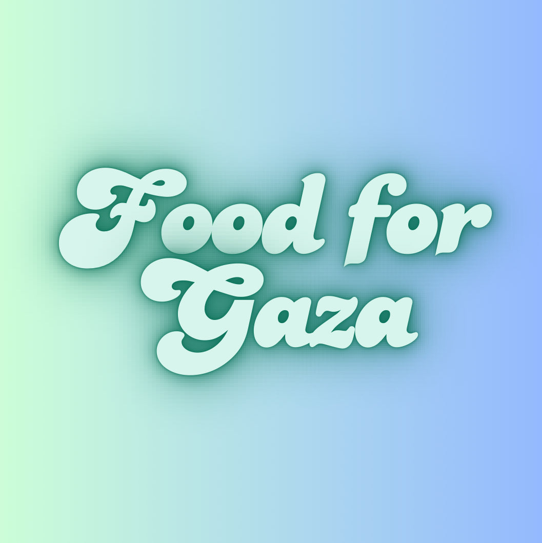 Help feed a family in Gaza