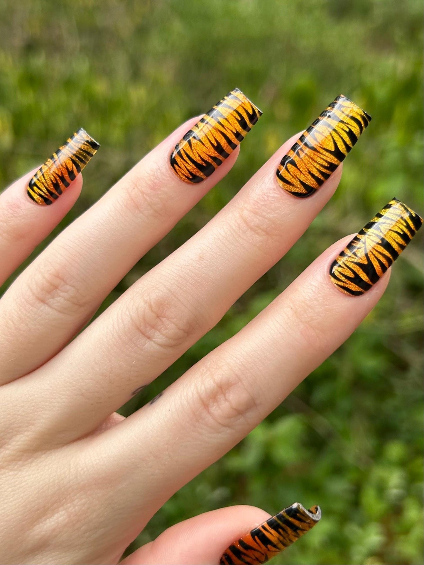 rawr XD
